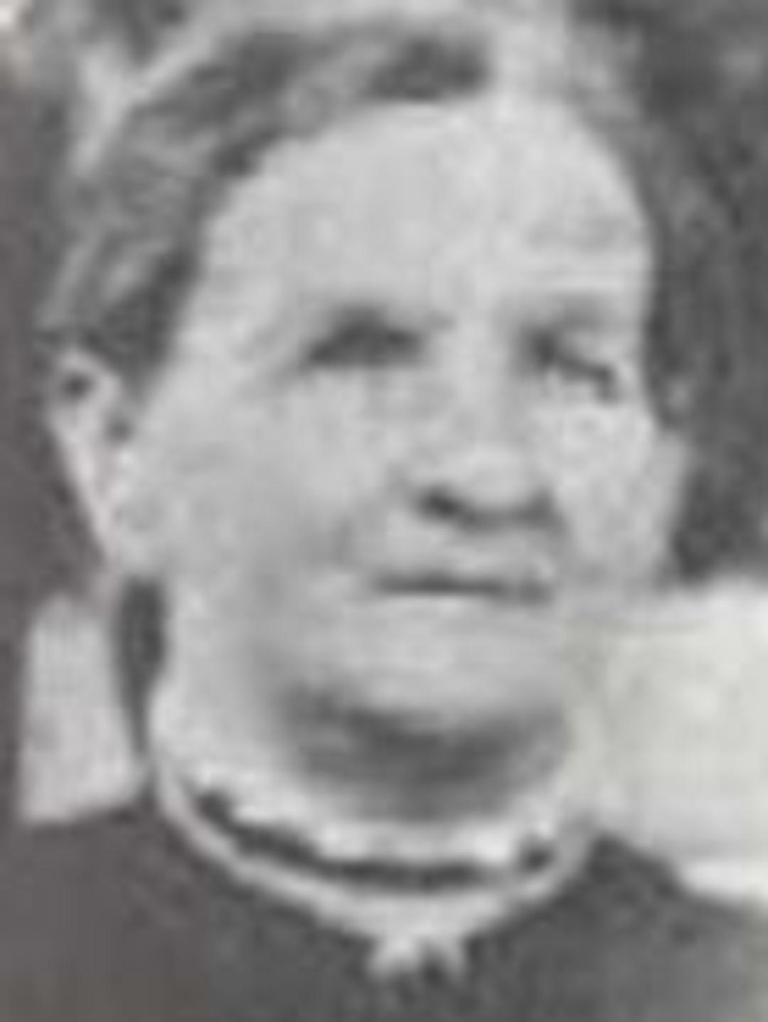 Helen Condie (1849 - 1931) Profile